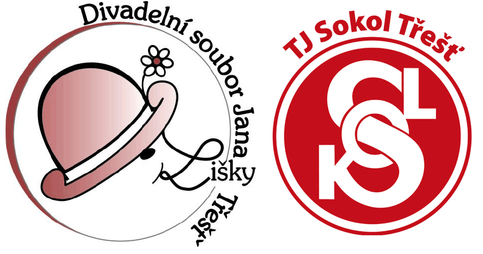 DSJL při TJ Sokol Třešť